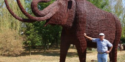 mamut (1)