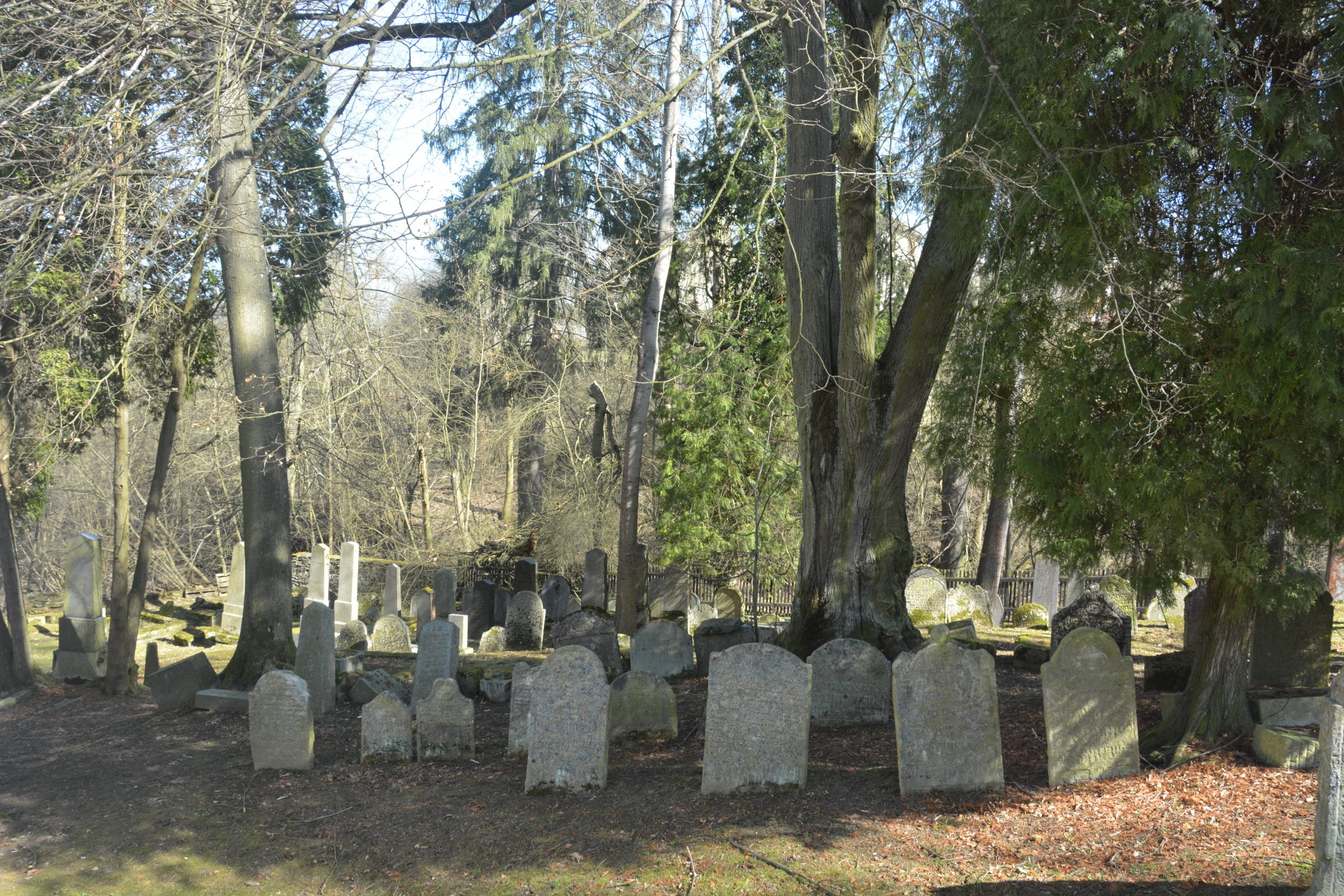 žid. hřbitov