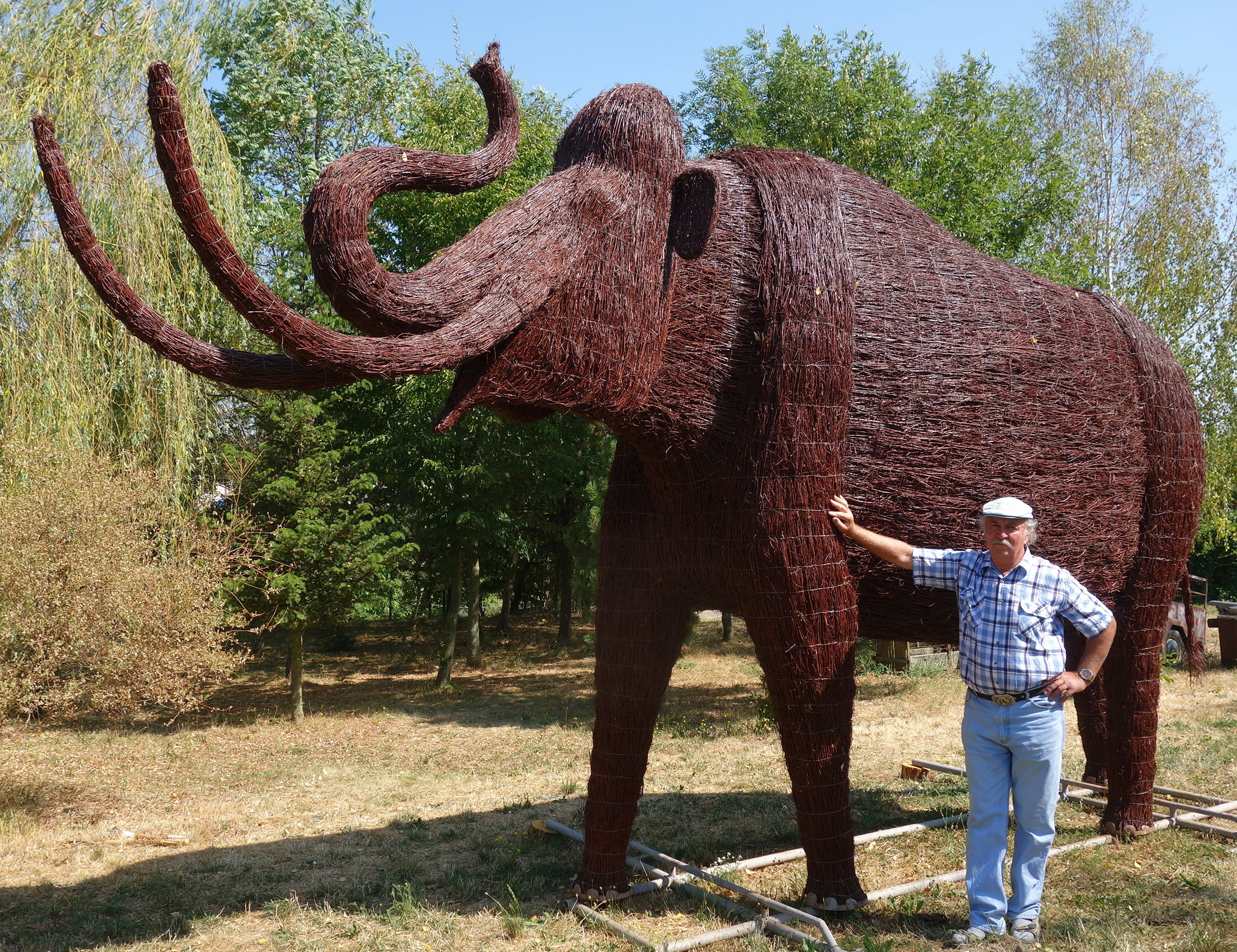 mamut (1)
