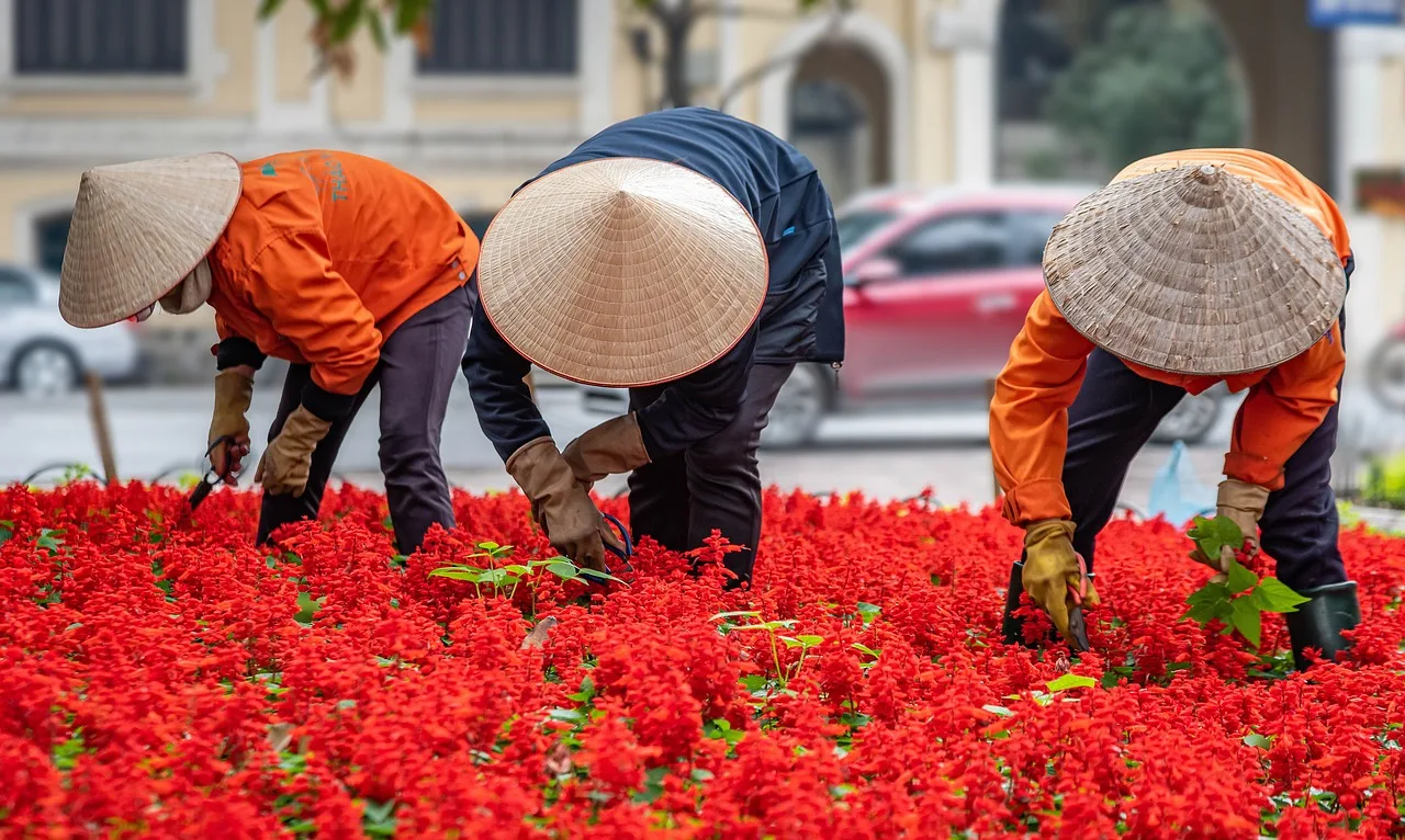 gardening-4710392_1280